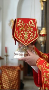Божественная литургия на Архиерейском подворье — храме в честь иконы Божией Матери «Утоли моя печали» г.Саратова