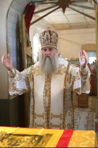 Божественная литургия в храме в честь Рождества Христова с. Вязовка Татищевского района