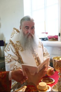 Божественная литургия в храме в честь Рождества Христова с. Вязовка Татищевского района