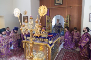 Литургия Преждеосвященных Даров в храме в честь иконы Божией Матери «Утоли моя печали» г. Саратова