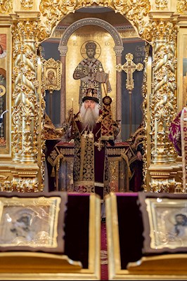 Божественная литургия в Свято-Троицком кафедральном соборе г. Саратова