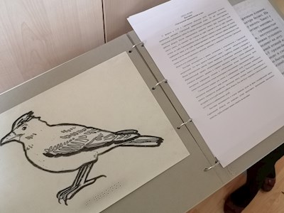 В краеведческом музее открылась выставка тактильных гербов