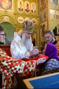 Божественная литургия в храме во имя святого благоверного великого князя Димитрия Донского села Столыпино Балтайского района
