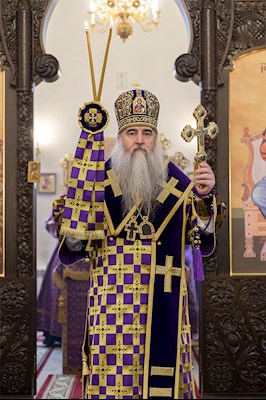 Божественная литургия в храме в честь иконы Божией Матери «Всех скорбящих Радость» г. Саратова