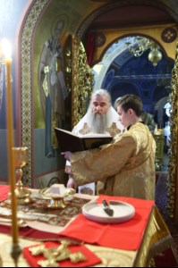 Божественная литургия в Свято-Троицком кафедральном соборе г.Саратова
