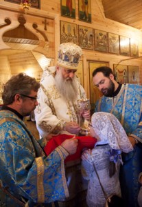 Божественная литургия в храме в честь Рождества Пресвятой Богородицы г.Саратова