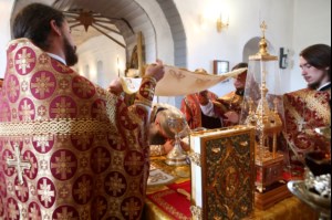 Божественная литургия в храме в честь Рождества Христова с. Вязовка Татищевского района