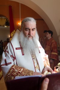 Божественная литургия в храме святого благоверного князя Александра Невского г. Саратова