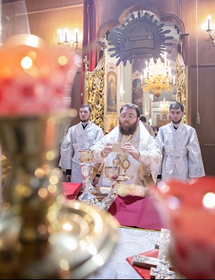 Митрополит Игнатий совершил Божественную литургию в Свято-Духовском соборе г. Саратова