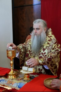 Божественная литургия в Свято-Алексиевском женском монастыре г. Саратова