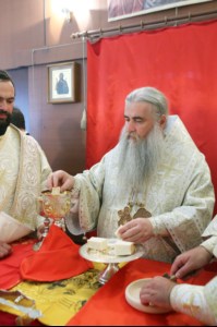 Божественная литургия в храме во имя святителя Тихона, епископа Воронежского, Задонского чудотворца г.Саратова