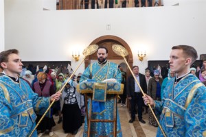 Божественная литургия в храме в честь иконы Божией Матери «Всех скорбящих Радость» г. Саратова