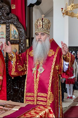 Божественная литургия в храме в честь иконы Божией Матери «Всех скорбящих Радость» г. Саратова