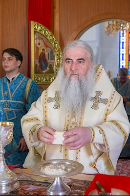 Божественная литургия на Архиерейском подворье — в храме в честь иконы Божией Матери «Утоли моя печали» г. Саратова