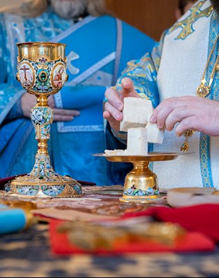 Митрополит Игнатий совершил Божественную литургию на Архиерейском подворье – в храме в честь иконы Божией Матери «Утоли моя печали» г. Саратова