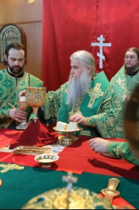 Божественная литургия в храме Сошествия Святого Духа г. Саратова