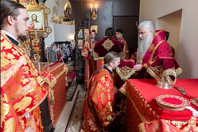 Божественная литургия в храме в честь иконы Божией Матери «Всех скорбящих Радость» г. Саратова