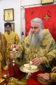 Божественная литургия в храме в честь Благовещения Пресвятой Богородицы г.Саратова