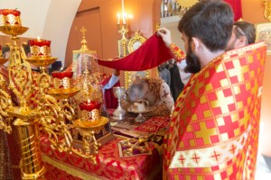 Божественная литургия в храме святого благоверного князя Александра Невского г. Саратова