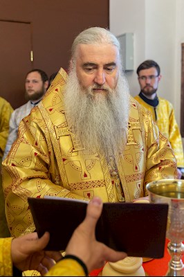 Божественная литургия в храме во имя святителя Николая Японского г. Саратова