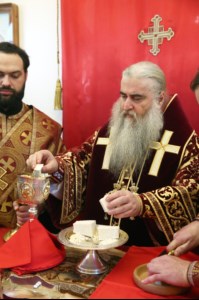Божественная литургия в Спасо-Преображенском мужском монастыре г.Саратова