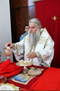 Божественная литургия в Свято-Алексиевском женском монастыре г. Саратова