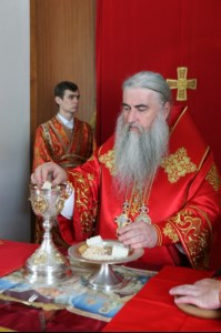 Божественная литургия на Архиерейском подворье — храме в честь иконы Божией Матери «Утоли моя печали» г.Саратова
