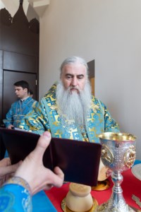 Божественная литургия в храме в честь иконы Божией Матери «Всех скорбящих Радость» г. Саратова