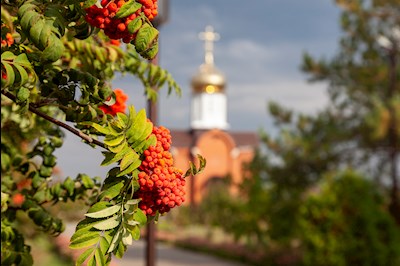 Состоялась паломническая поездка студентов СПДС к святыням Саратовской митрополии