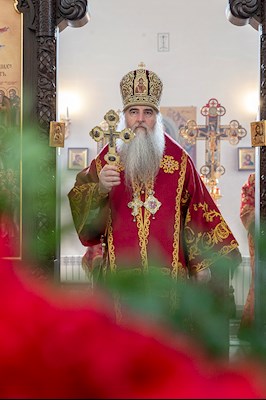 Божественная литургия в храме в честь иконы Божией Матери «Всех скорбящих Радость» г. Саратова