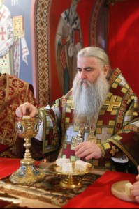 Божественная литургия в Свято-Троицком кафедральном соборе г. Саратова