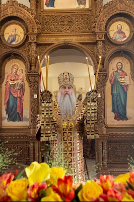 Божественная литургия в храме во имя святых бессребреников и чудотворцев Космы и Дамиана г. Саратова
