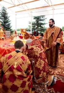 Божественная литургия в Вавиловом Доле