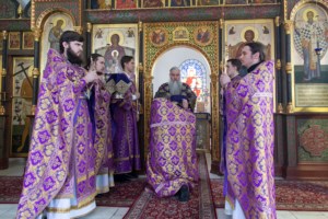 Литургия Преждеосвященных Даров в храме в честь иконы Божией Матери «Утоли моя печали» г. Саратова