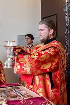 Божественная литургия в храме в честь иконы Божией Матери «Всех скорбящих Радость» г. Саратова