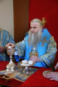Божественная литургия на Архиерейском подворье – храме в честь иконы Божией Матери «Утоли моя печали» г.Саратова