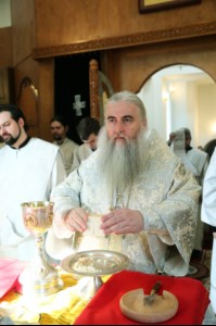 Божественная литургия в храме во имя святого равноапостольного великого князя Владимира г. Саратова