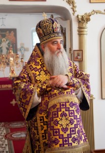 Божественная литургия на Подворье Свято-Никольского мужского монастыря г.Саратова с.Елшанка Воскресенского района