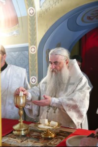 Крещальная литургия в Свято-Троицком соборе Саратова
