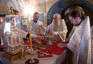Божественная литургия и крещение оглашенных в Свято-Троицком кафедральном соборе Саратова