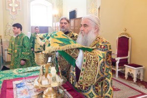 Божественная литургия в храме в честь Покрова Пресвятой Богородицы г. Саратова