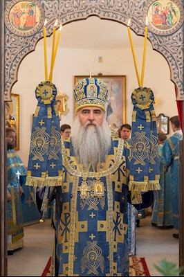 Божественная литургия в храме в честь Владимирской иконы Божией Матери с. Багаевка