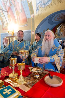 Божественная литургия в Свято-Троицком кафедральном соборе г. Саратова