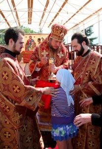 Божественная литургия в Вавиловом Доле
