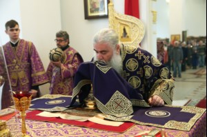 Божественная литургия в храме в честь Рождества Христова г.Саратова