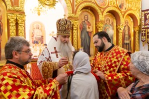 Божественная литургия в храме святого благоверного князя Александра Невского г. Саратова