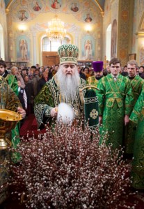 Божественная литургия в храме в честь Покрова Пресвятой Богородицы г.Саратова