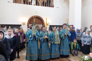 Божественная литургия в храме в честь иконы Божией Матери «Всех скорбящих Радость» г. Саратова