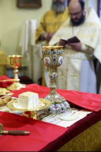 Божественная литургия на Архиерейском подворье — храме во имя преподобного Серафима Саровского г.Саратова