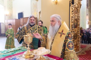 Божественная литургия в храме в честь Покрова Пресвятой Богородицы г. Саратова